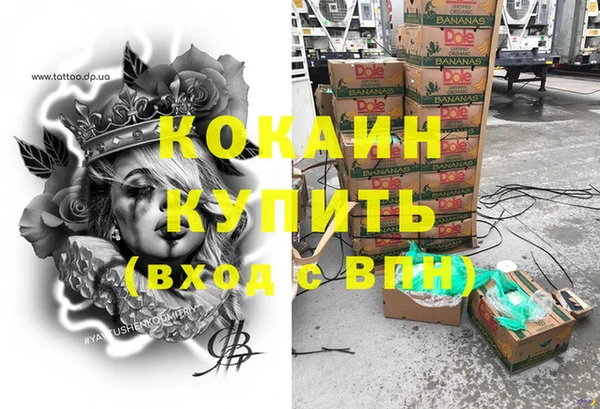 шишки Белокуриха